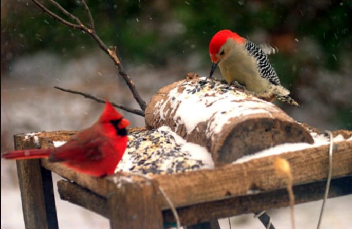 IMG_20170918_150623_168