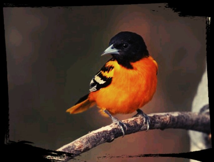 IMG_20170512_010534_120